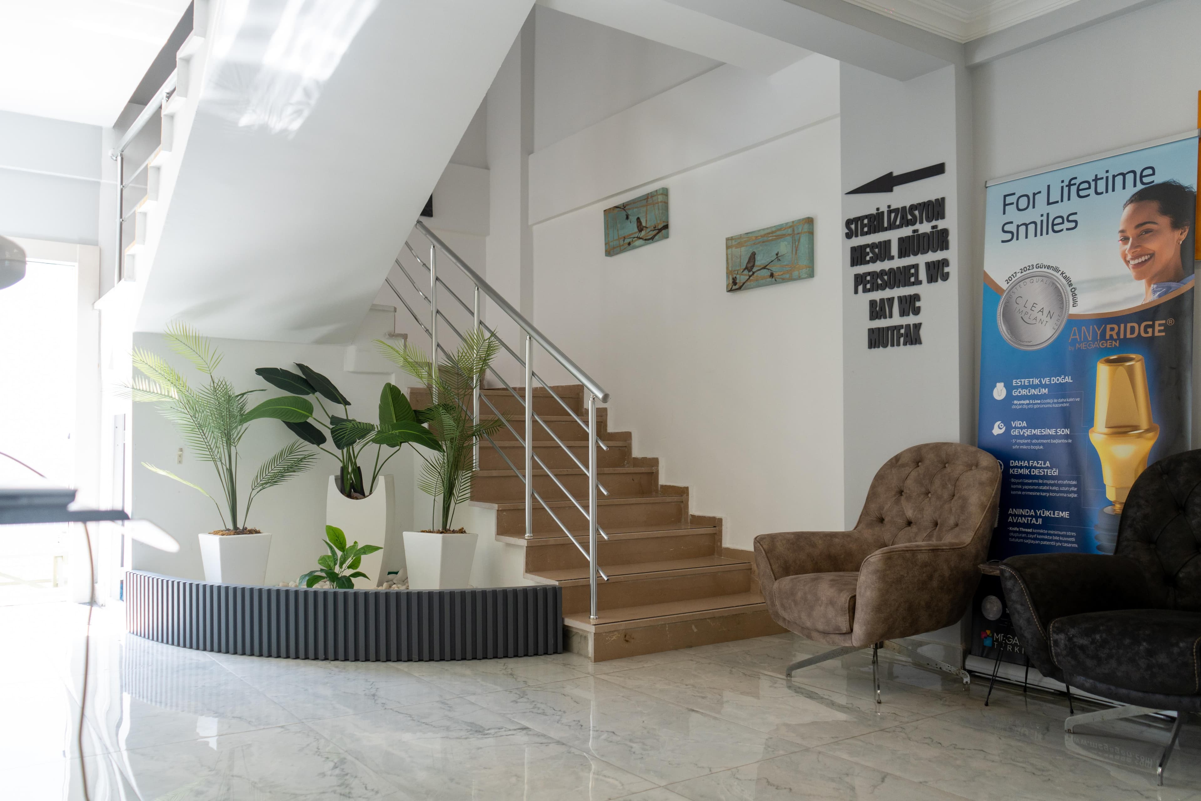 Side Shine Galerie Foto 9