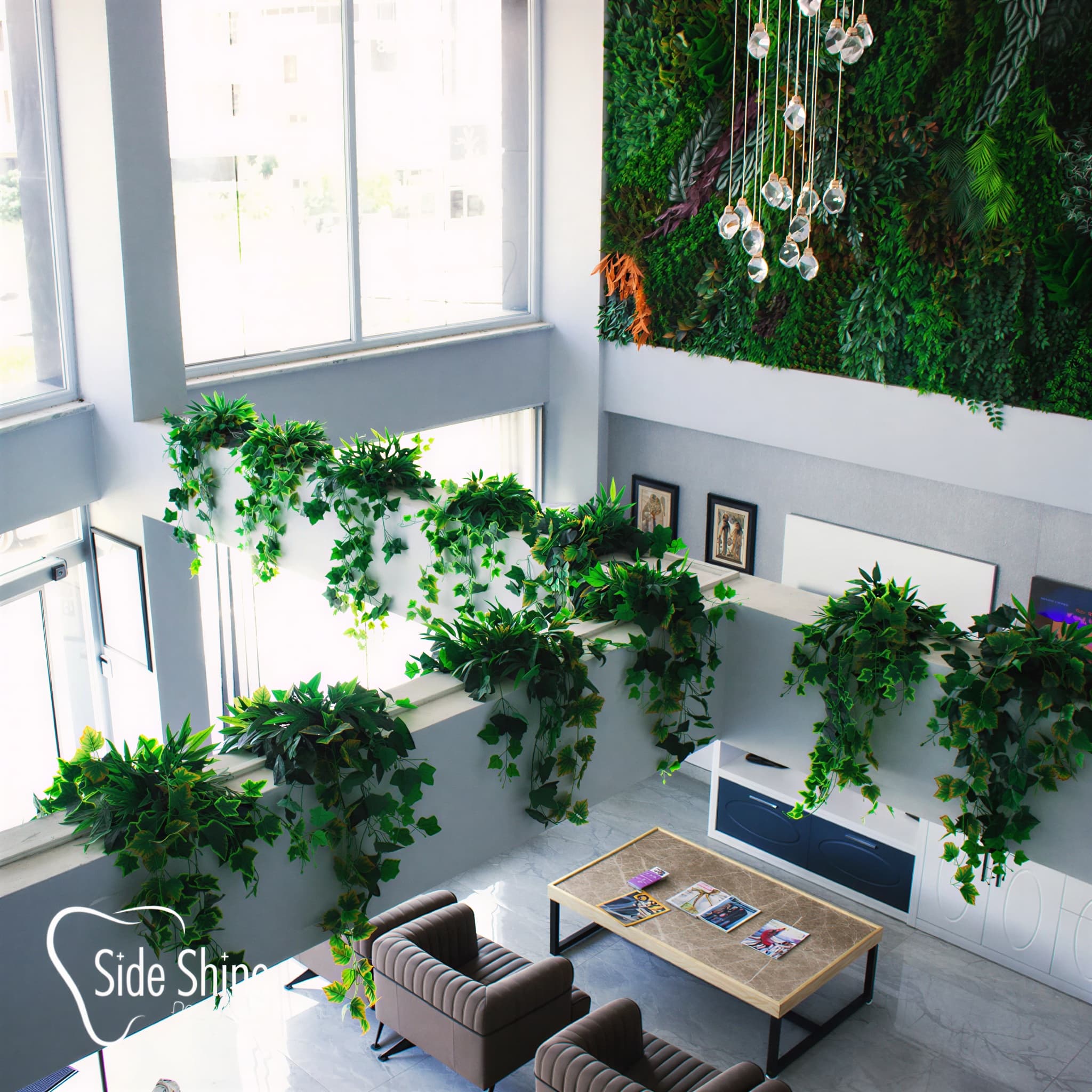 Side Shine Galerie Foto 3